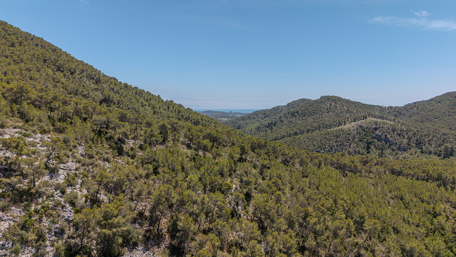 Los edificios de la finca rodeados de pinares mediterráneos